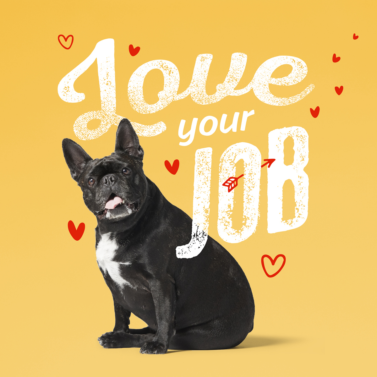 6468 Eight Love Your Job Yellow Still V1 5